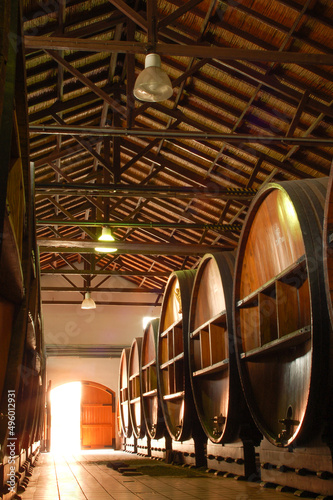 wine barrels in bodegas lopez mendoza