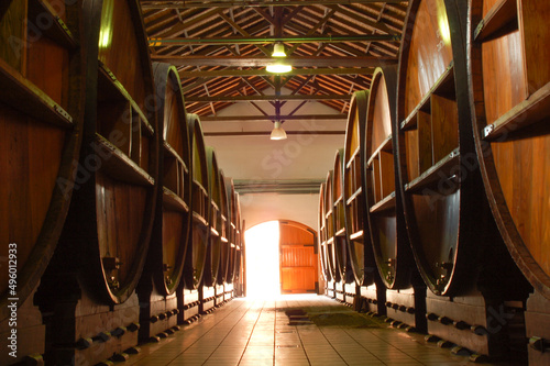 Wine barrels in bodegas Lopez Mendoza