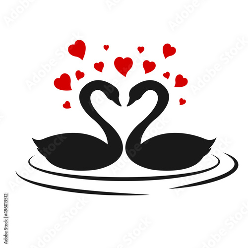 Swans on the water isolated on white background. Vector illustration of graceful couple of swan birds with red hearts. Cartoon character design