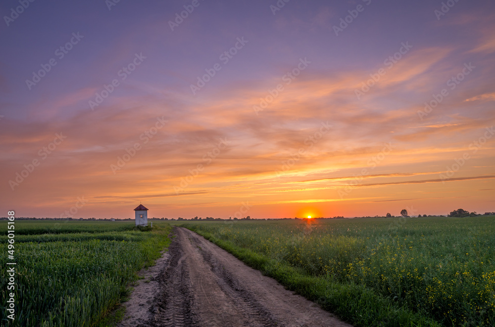 Fototapeta premium colorful sky at sunrise over the fields