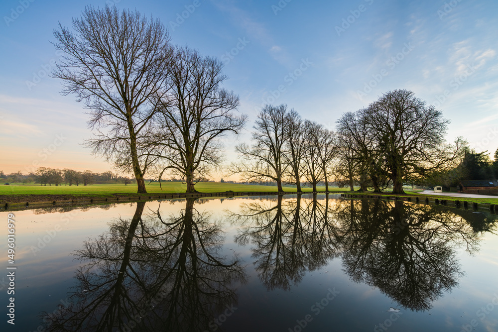 Water pond reflecting leafless trees at sunrise. Woburn park in England Water pond reflecting leafless trees at sunrise. Woburn park in England