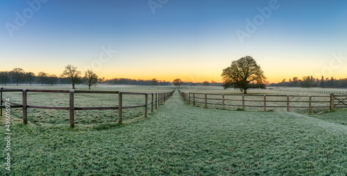 Green frosty meadow in winter at sunrise. Woburn Park in England photo