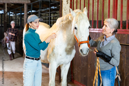 Women weaving braids on the mane of a white horse in the stable