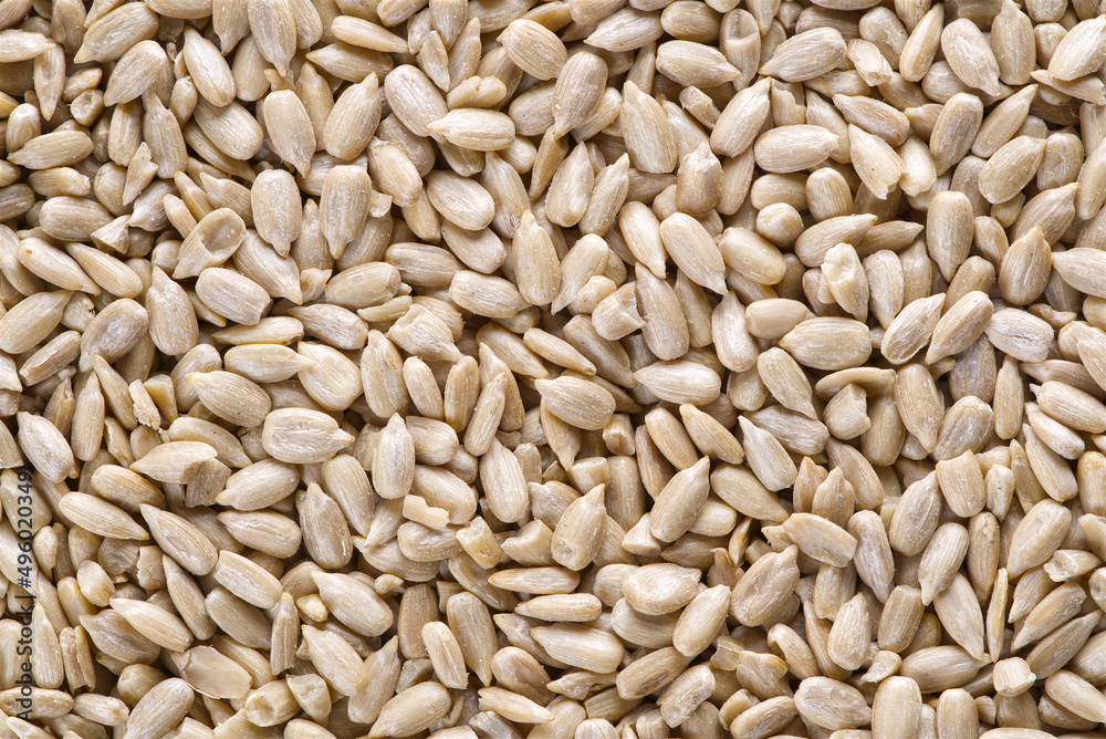 Peeled sunflower seeds full frame background. Close-up. Top view. Close-up shelled sunflower seeds. Peeled sunflower seeds full frame background. Close-up. Top view. Close-up shelled sunflower seeds.