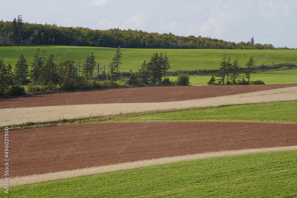 Cultivated fields of red soil, Irishtown, Prince Edward Island, Canada