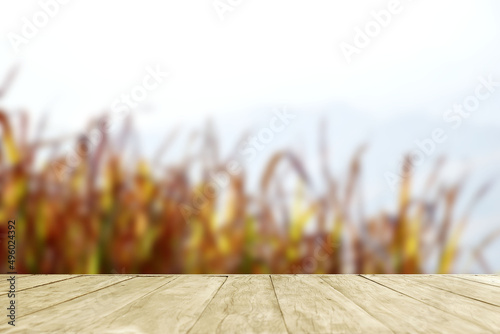 Empty top wooden table on soft focus blurred dry grass with sun light in nature Fototapet