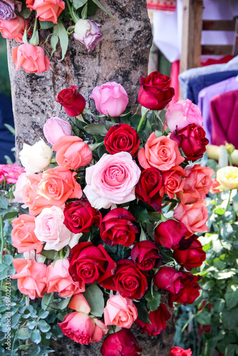 Pink red roses decorative on tree background