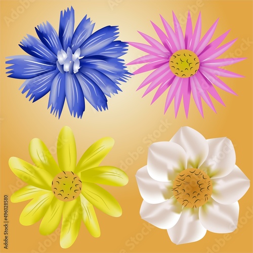 A Set of Flowers with Various Colors Vector Illustration