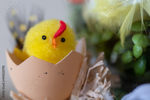 easter chicken and eggs, Chicken, Easter, decoration, egg