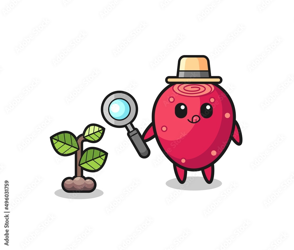 Fototapeta premium cute prickly pear herbalist researching a plants