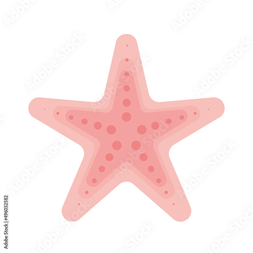 Obraz na plátně pink starfish design