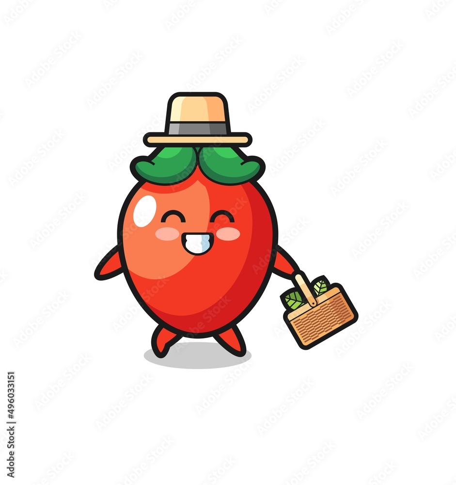 chili pepper herbalist character searching a herbal chili pepper herbalist character searching a herbal