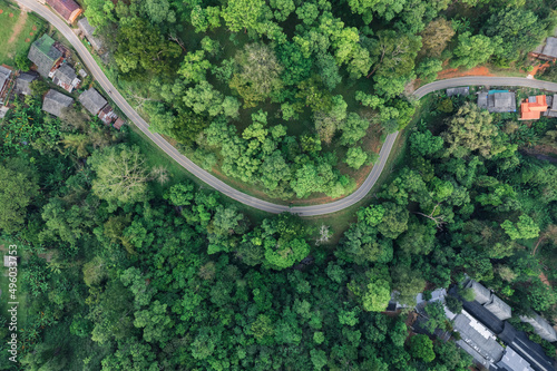 Fototapeta Naklejka Na Ścianę i Meble -  road and green trees from above in the summer forest