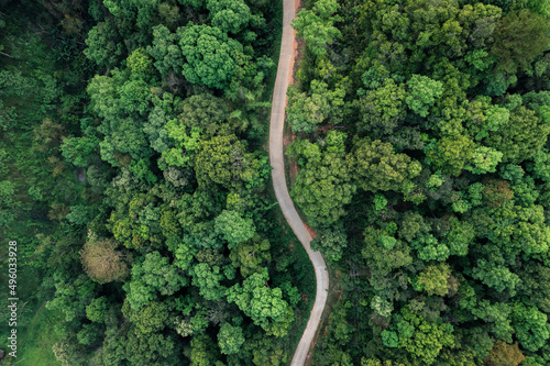 road and green trees from above in the summer forest © artrachen