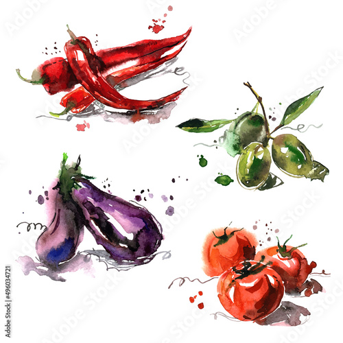 Watercolor hand painted vegetables on white background. Olive, tomato, pepper, eggplant. Creative food illustration