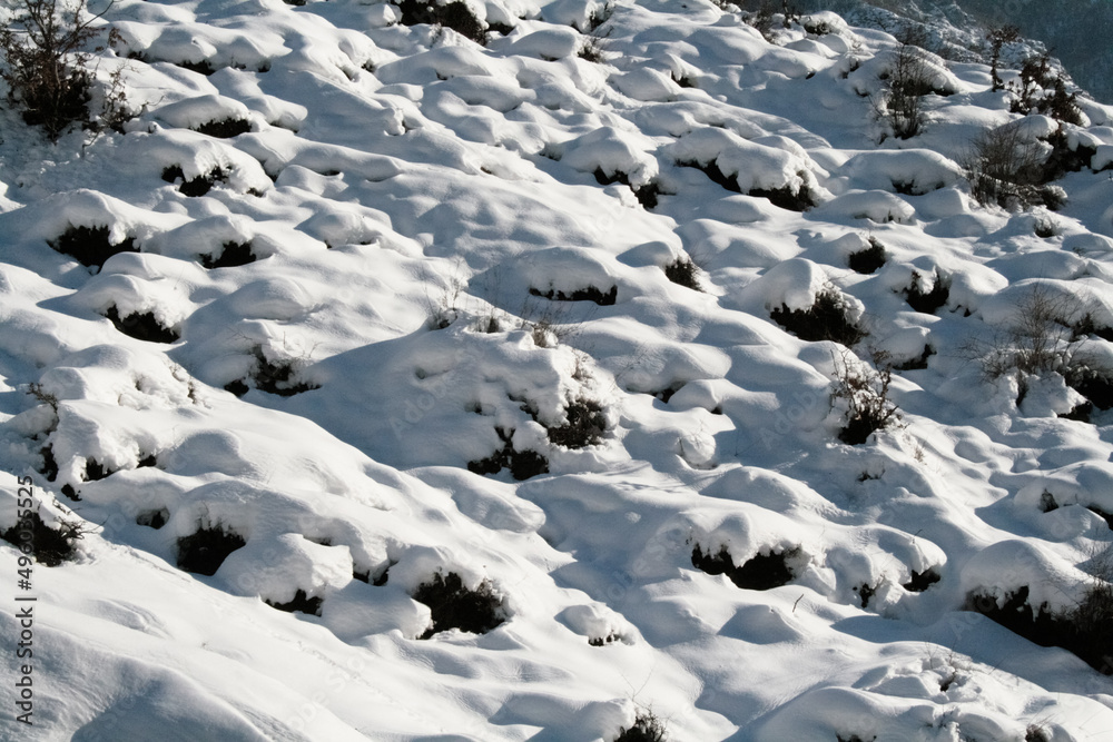 snow-covered rocks