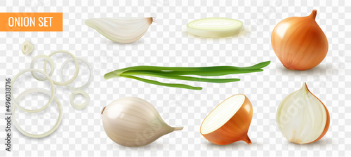 Realistic Onion Set
