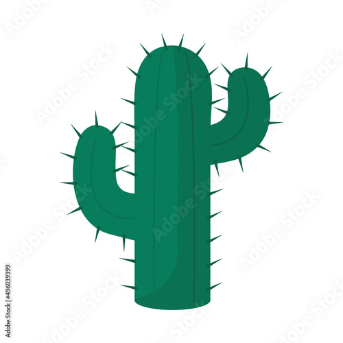 cactus with spine