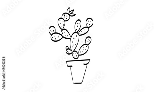 Cactus sketch vector hand drawn illustration for print or use as poster, card, or T shirt