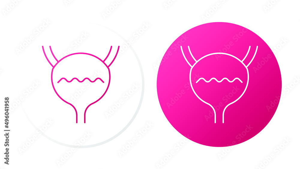bladder. Line icon on button for web design bladder. Line icon on button for web design