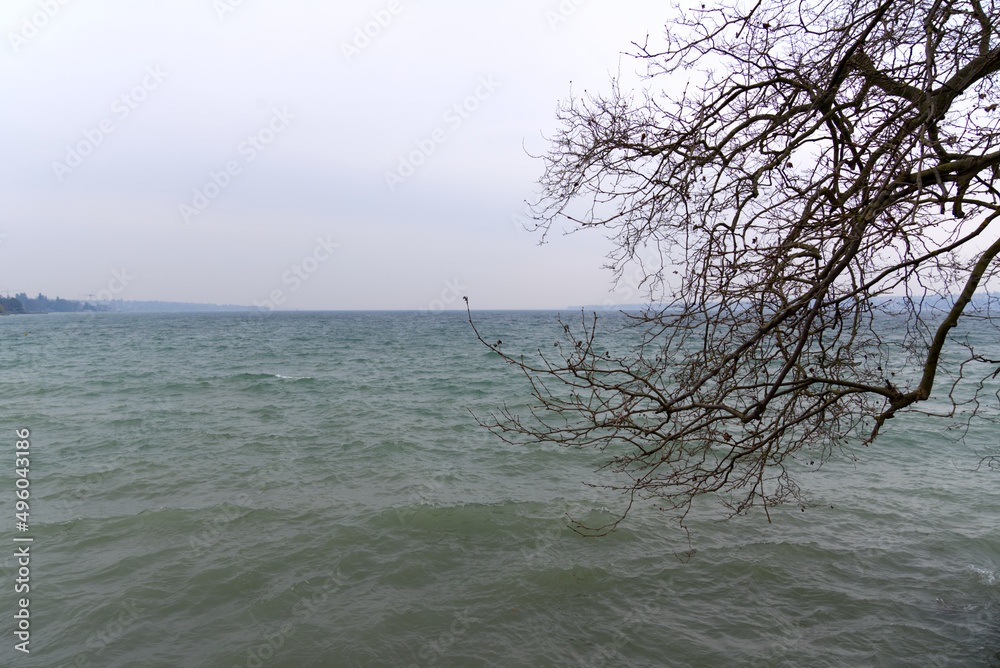 Scenic view from border of Lake Geneva with wooden bench on a gray and cloudy spring day. Photo taken March 18th, 2022, Geneva, Switzerland.