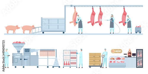 Pork meat production conveyor from farm pig to butcher shop. Butchery manufacture process stage. Sausage product industry vector infographic