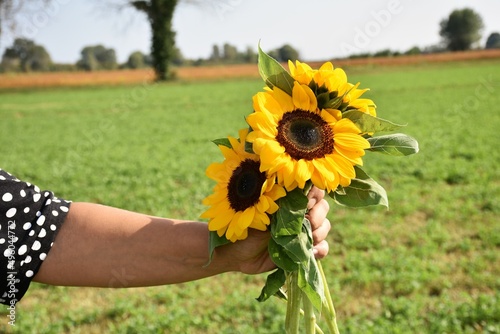 Estate donna tiene in mano dei bellissimi girasoli