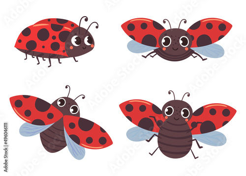 Cartoon ladybug insects with red black wings