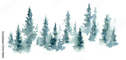 Watercolor background drawn landscape of foggy forest Wild nature, frozen, misty, taiga. Drawing of the blue forest, pine tree, spruce © Leyasw