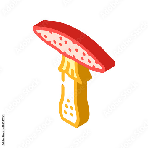 toadstool mushroom isometric icon vector. toadstool mushroom sign. isolated symbol illustration