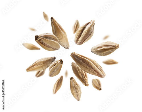 Barley malt grains levitate on a white background photo