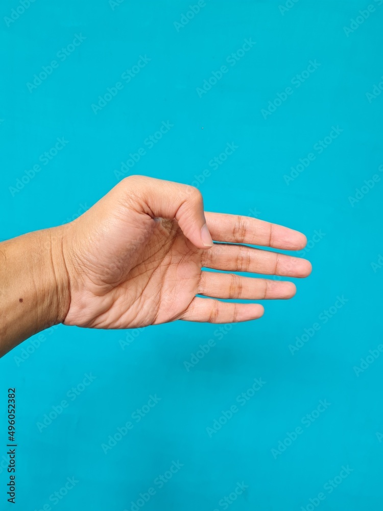 Photo of limbs on a blue background