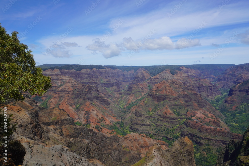 Top Overlook of Waimea Canyon with red canyon walls littered with green trees