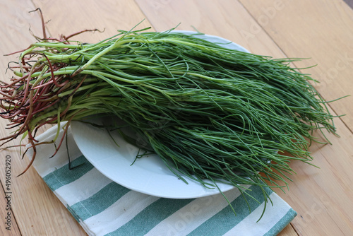 Bunch of fresh Salsola sodaon a striped napkin on wooden table. Italian Barba di frate or Agretti or Saltwort on wooden background photo