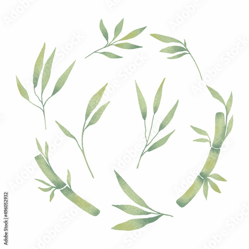Collection of bamboo leaves drawing. Watercolor style design vector