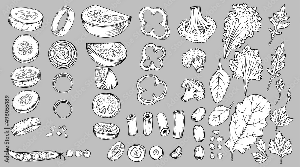 Vegetables food slices carrots,  cucumbers, cabbage, tomato, broccoli, etc. Hand drawn sketch vector illustrations in black isolated. For vegan restaurant menu. Thanksgiving recipe.
