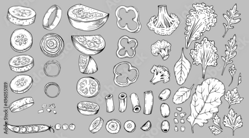 Vegetables food slices carrots   cucumbers  cabbage  tomato  broccoli  etc. Hand drawn sketch vector illustrations in black isolated. For vegan restaurant menu. Thanksgiving recipe.
