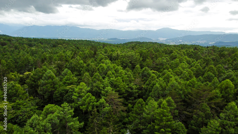 春の長野県茅野市の蓼科高原の辺り一面位広がる針葉樹林の空撮風景