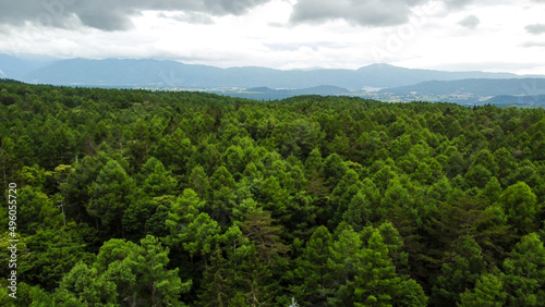 春の長野県茅野市の蓼科高原の辺り一面位広がる針葉樹林の空撮風景