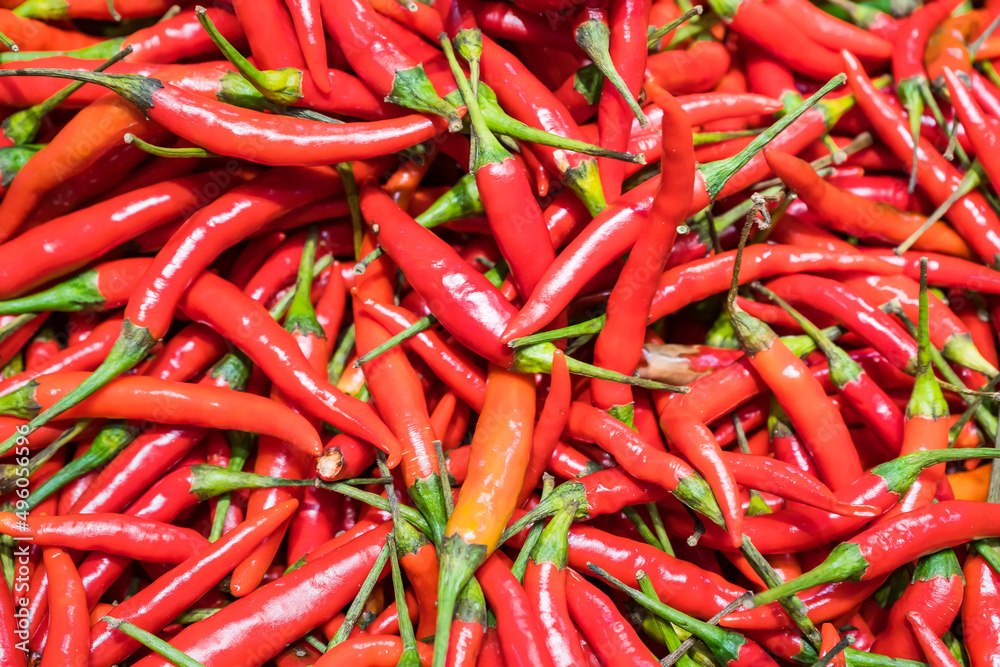 Red chili background. Top view of fresh red peppers in the market. Red pepper is an important ingredient in Asian food.