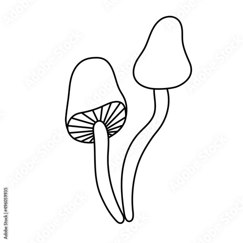 Contour black-and-white drawing of  poisonous mushrooms. Vector illustration. Coloring page.