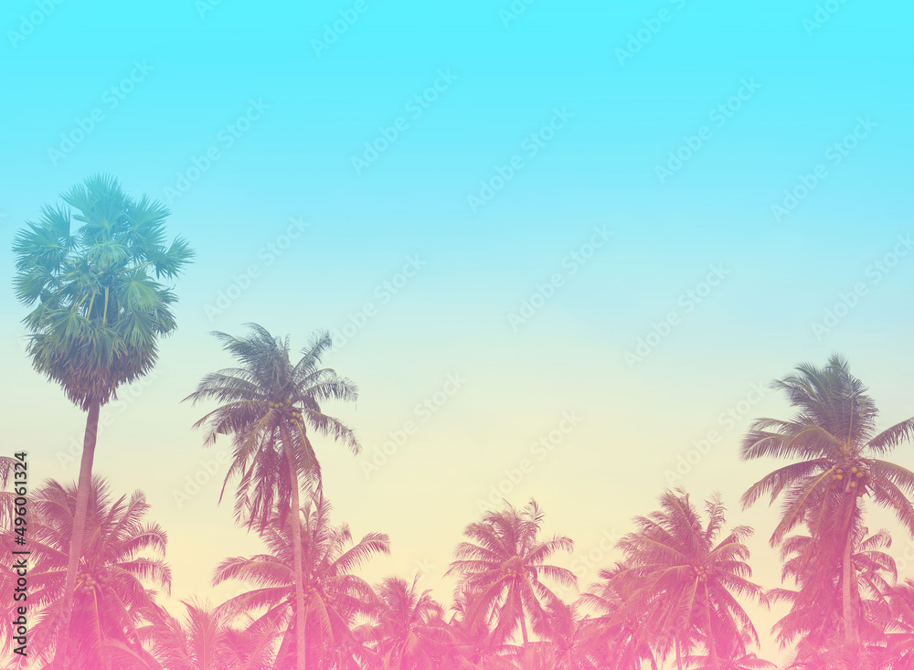 Summer  colorful theme  with palm trees background as texture frame image background - obrazy, fototapety, plakaty 