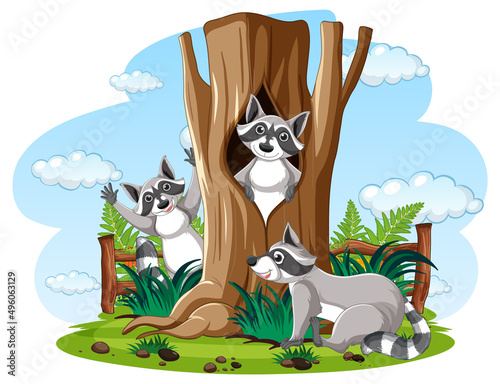 Three raccoons in the garden