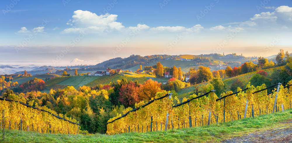 Breathtaking vineyards landscape in South Styria near Gamlitz.