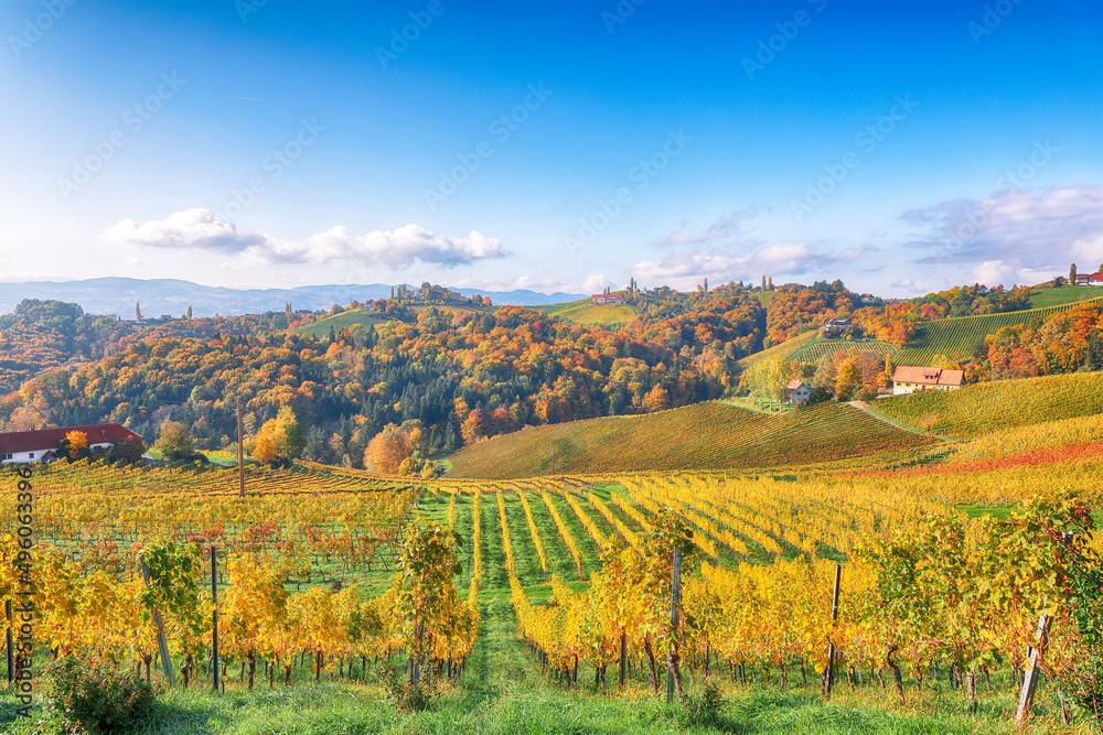 Splendid vineyards landscape in South Styria near Gamlitz.