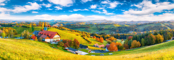 Acrylglasbilder Orange Breathtaking vineyards landscape in South Styria near Gamlitz.  © pilat666