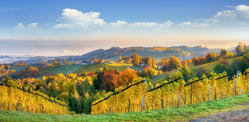 Leinwandbilder Honigfarbe Breathtaking vineyards landscape in South Styria near Gamlitz.  © pilat666