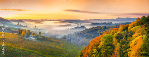 Fotografía Splendid vineyards landscape in South Styria near Gamlitz.