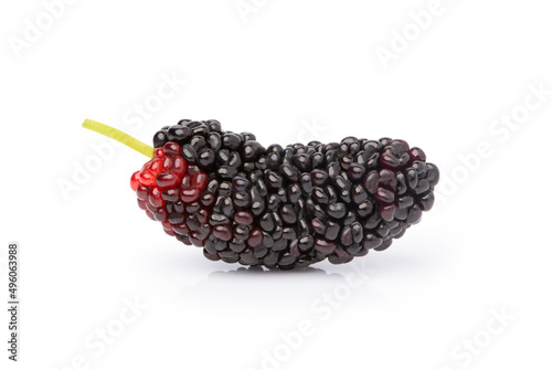 Closeup fresh red black mulberry fruit isolated on white background with clipping path. Macro.