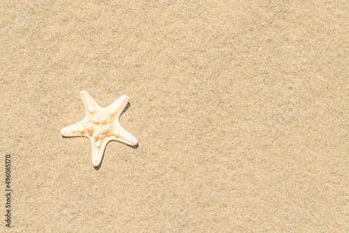 Starfish on sand. Copy space for the text. Top view